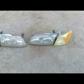 бабочка фара