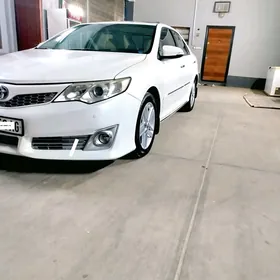 Toyota Camry 2013