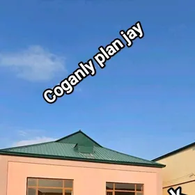 Coganly plan jay