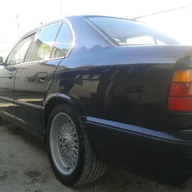 radiator e34 karopka