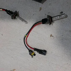 rele tacpro ksinon lamba