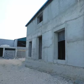 anew 27 koce karopka