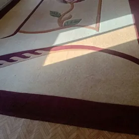 Haly     oýma  täze