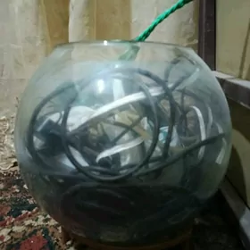 Круглый аквариум