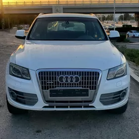 Audi Q5 2010