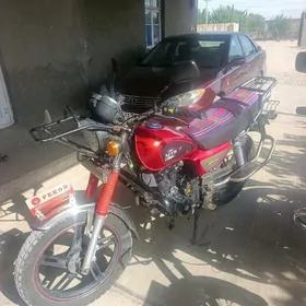 Fekon FK200-14G 2022