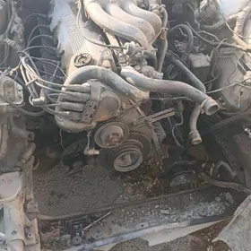 mator karopka 2.5 prastoy