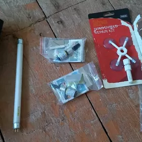 labawoy tresin yitirya