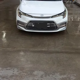 Toyota Corolla 2020