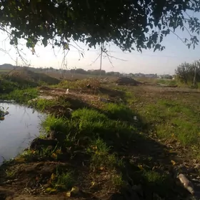 Büzmeýin 40ýyllyk