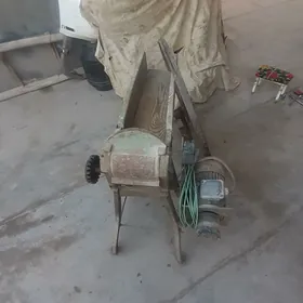 от майдалагич