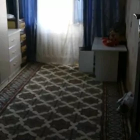 satlyk jay wostochny