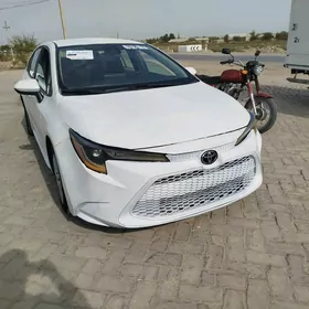 Toyota Corolla 2022