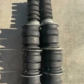 Morda Prado rama paduska