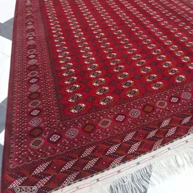 el haly taze kesilen 5/5.50