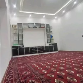 плановый дом/Багир