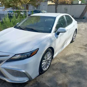 Toyota Camry 2021