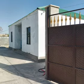 Bagyr Mirewe Багир