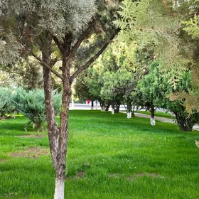 ANEW 3 KOMNAT 123m²