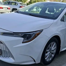 Toyota Corolla 2021
