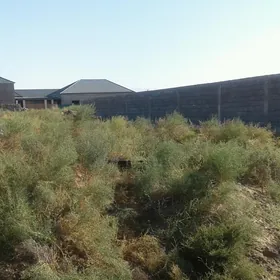 ÖÑ ALDY.ÖÑ  ALDY.