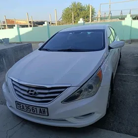 Hyundai Sonata 2010
