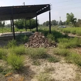 uly ýoluň gyrasy Sakarçäge