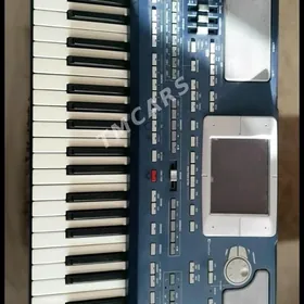 Korg