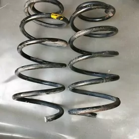 пуржин каролла