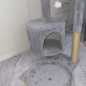 клежанка для кошек