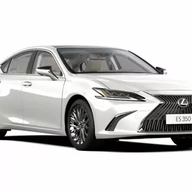 Lexus Nikel Bezegler