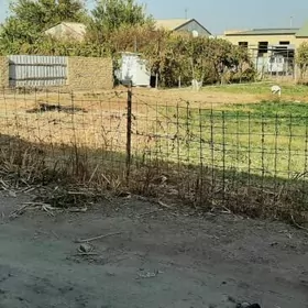 Melek Ayraport  daca