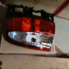 Corona Stopnik krildaky