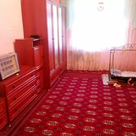 Dom jay  bazar gapdaly