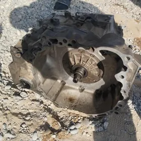 karopga  warŷatyr k