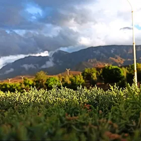 ARENDA PODWAL TÄZE JAÝLAR