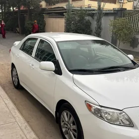 Toyota Corolla 2009