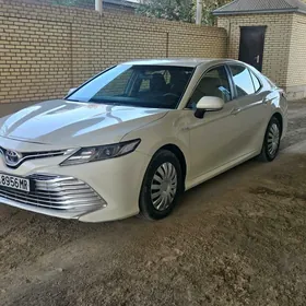 Toyota Camry 2020