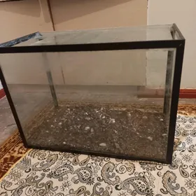 Akwarium 50litrAkwarium