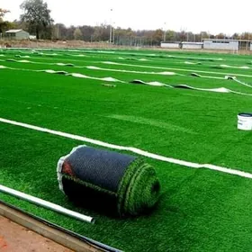 Gazon ot Emeli otlar