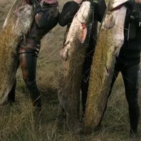 balyk рыба lotga гидрокастюм