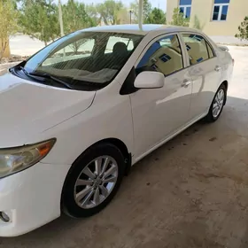 Toyota Corolla 2008