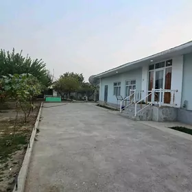 SATLYK JAY COGONLY 12 SOTOK