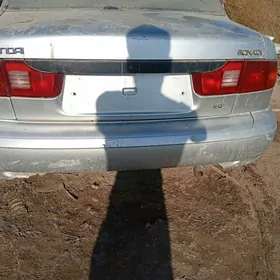 sonata 2/3zapcaslary