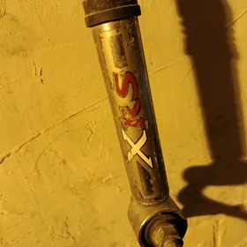 apora goyulyancemry carolla