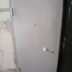 железная дверь