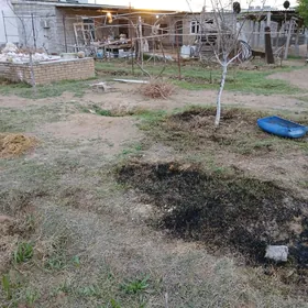 Ýerli jay Herrikgalada