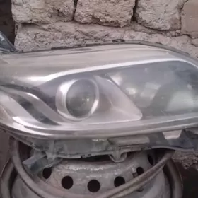 fara sienna 2017/2019