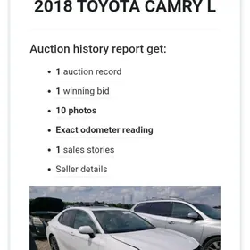 Toyota Camry 2018