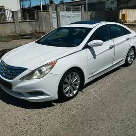 Hyundai Sonata 2010